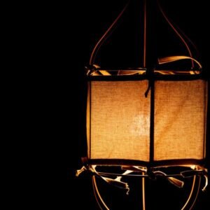 Canopy the pendant lamp