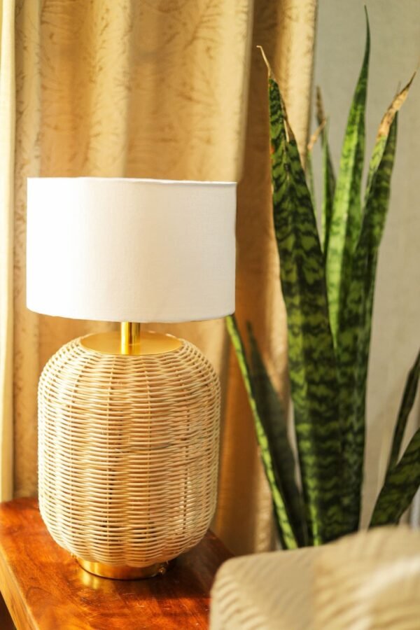 Bamboo Cane Table Lamp
